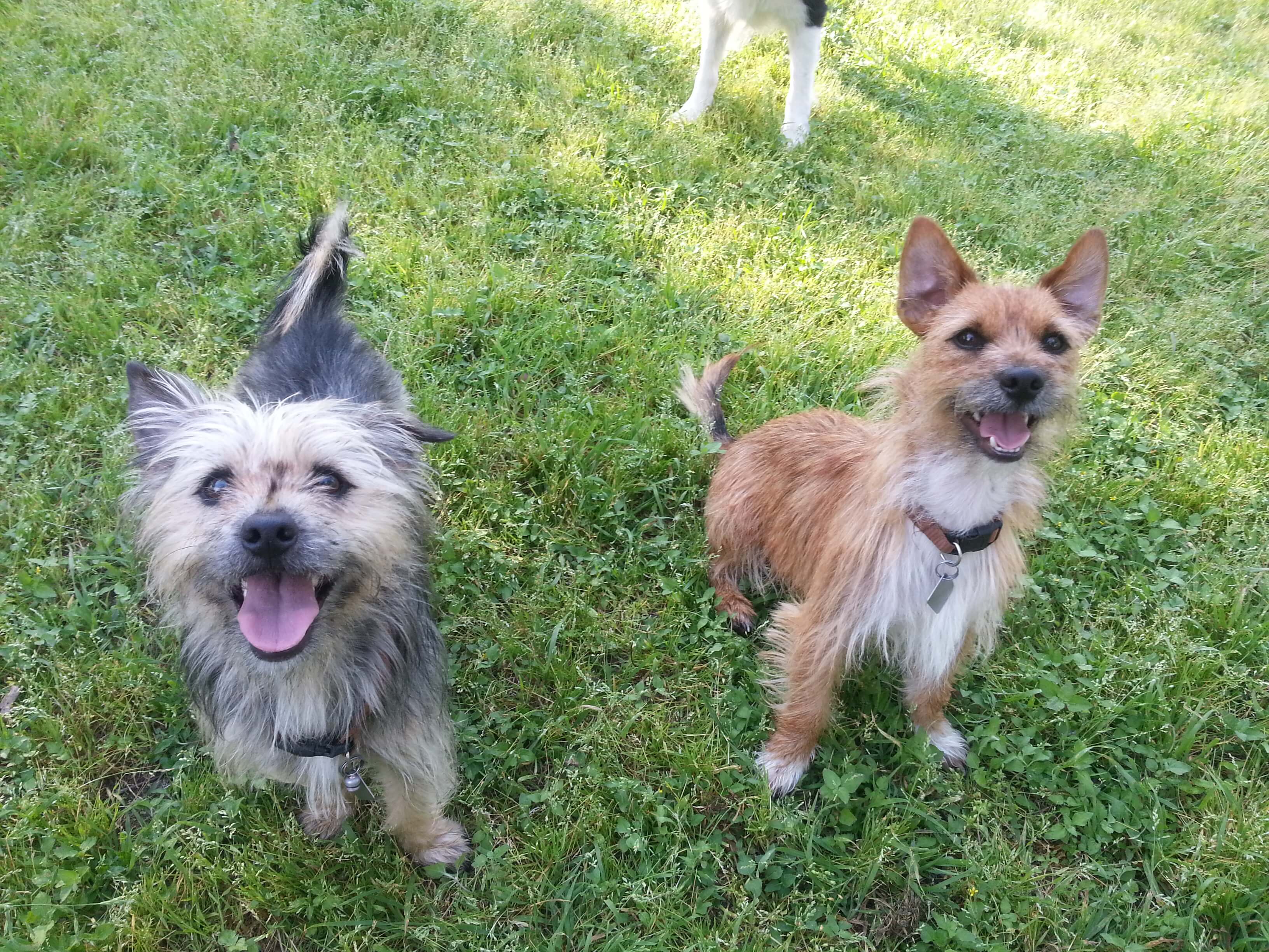 Gabriella & Rodrigo image