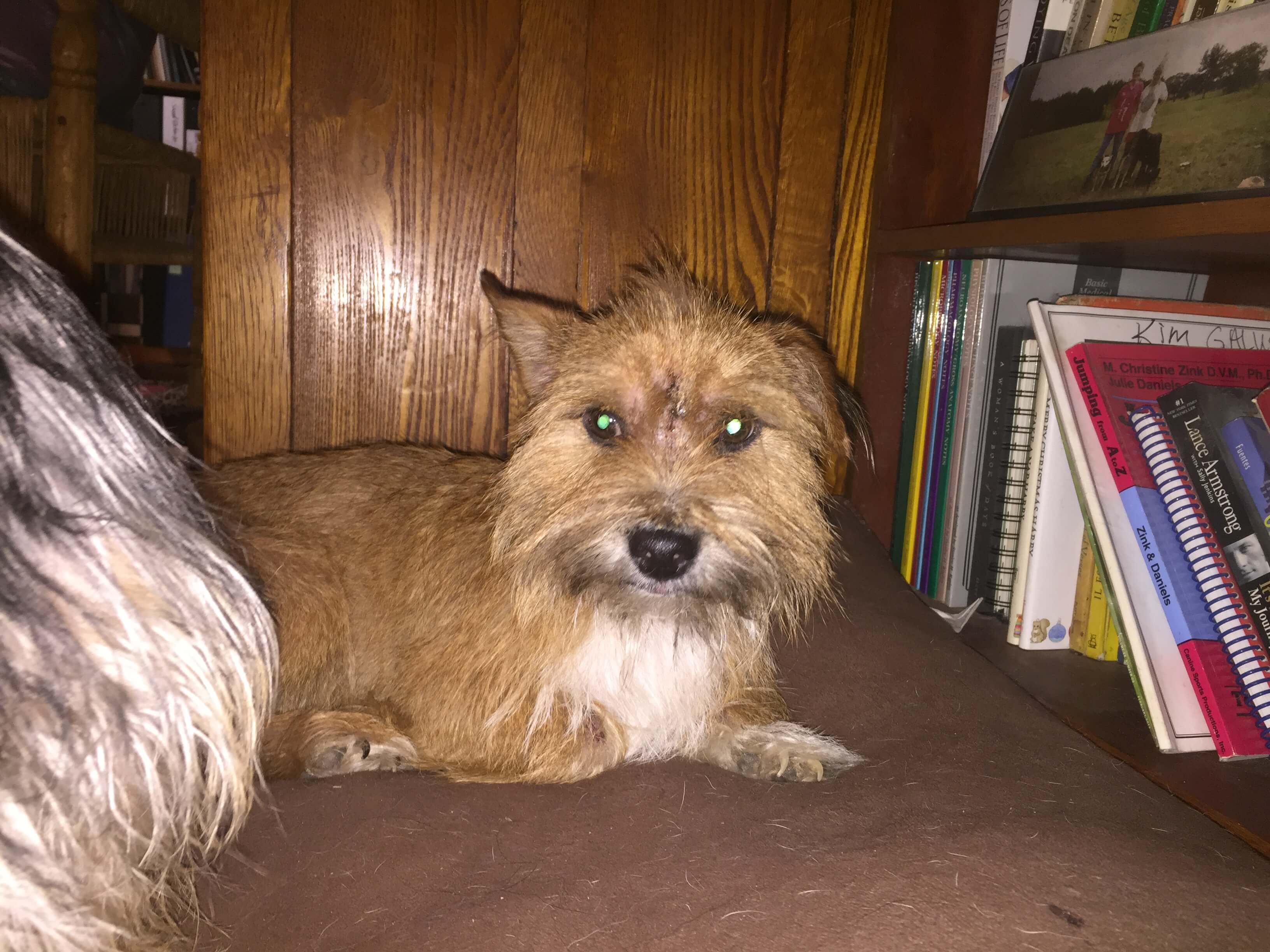 Gabriella & Rodrigo image