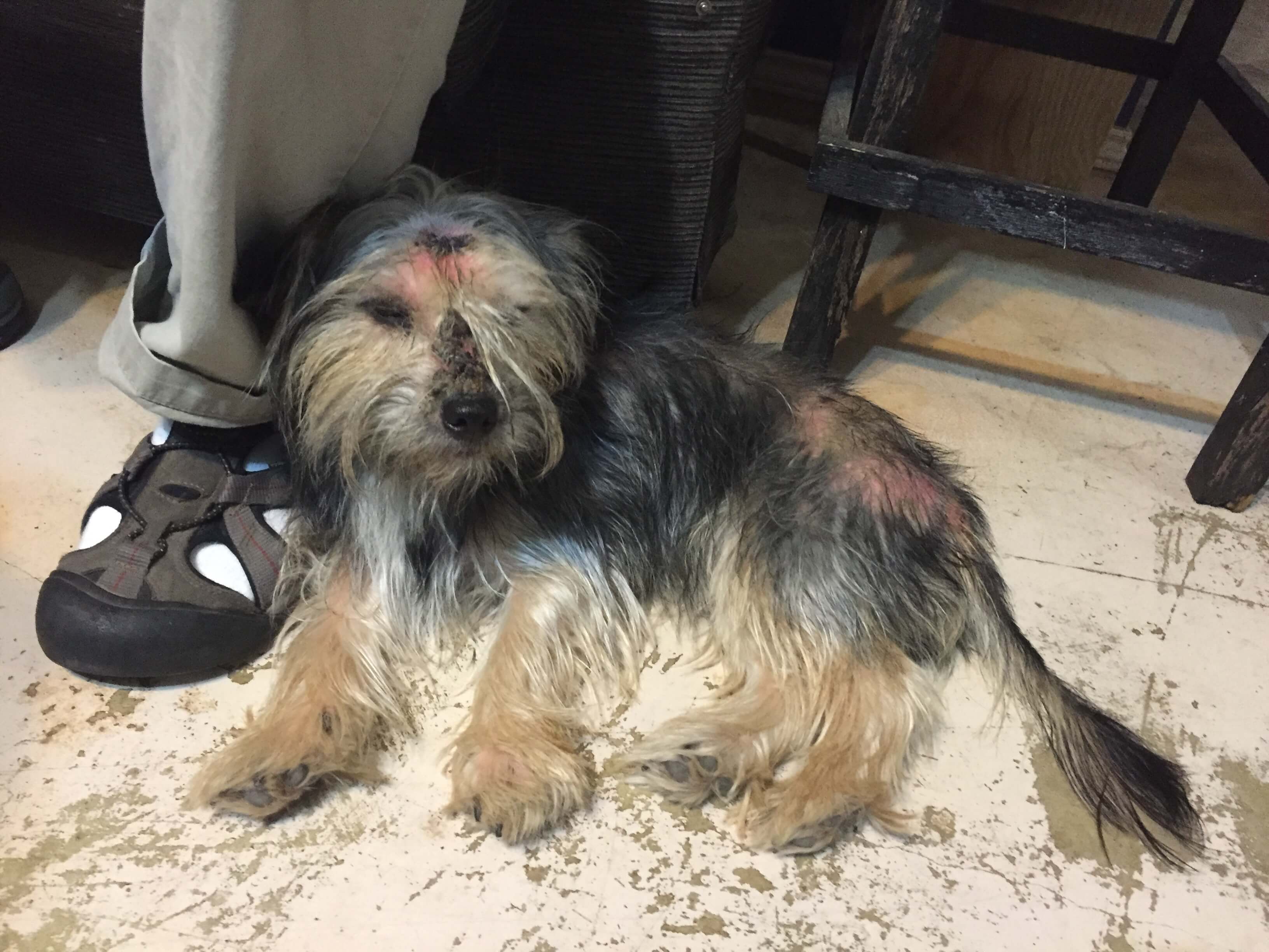 Gabriella & Rodrigo image